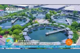 臭水沟变生机长廊！南京：污水处理提质增效，还居民一个碧水蓝天视频封面