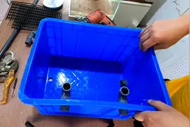 低成本制作一款沼泽过滤，用在一米七的鱼缸上，会不会显得太单薄视频封面