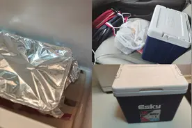 张同学天津分学：记录全职妈妈的日常，小保温箱给孩子带饭真好视频封面