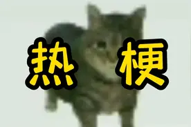 Oiiaioooooiai是什么梗？