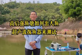 高启强鱼塘如何出大鱼超声波探鱼器来帮忙#探鱼器#鱼探仪#钓鱼视频封面