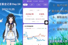 赚了8346.98元！11.25基金记录！基金小白玩法的精髓？财富增长？视频封面