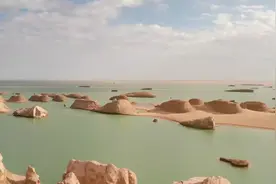 一笑了之，给一个灿烂的阳光，一片自由的海洋，让自己不断变强，视频封面
