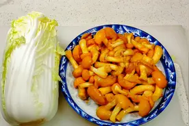 大厨教你白菜炒蘑菇家常做法，做法简单，咸鲜适口开胃下饭视频封面