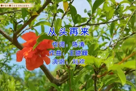 经典老歌《从头再来》，昨天已经过去，送给崭新的自己！加油！视频封面