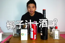 椰子汁能和酒类混合吗？白酒、葡萄酒、啤酒？视频封面