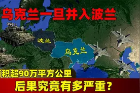 面积超90万平方公里，乌克兰一旦并入波兰，后果究竟有多严重？视频封面