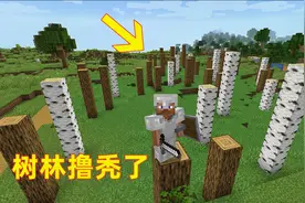 我的世界新06！为了用堆肥桶制作化肥，我把树林里的树叶全撸秃了