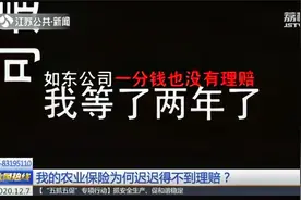 江苏人保：我的农业保险为何迟迟得不到理赔？视频封面