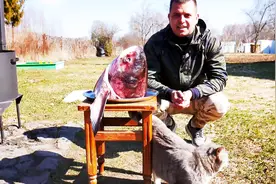 水产丰富的俄罗斯，随便搞个鱼头都要14斤，熬鱼汤喝太美了视频封面