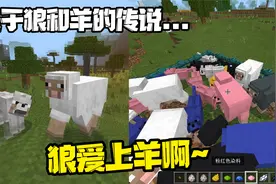 我的世界：MC中关于狼和羊的传说，因为染色朋友反目成仇！