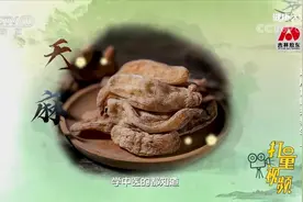 天麻具有平肝熄风的作用，头痛、头风发作可以用天麻来治疗视频封面