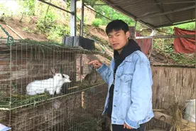 农村小伙家里养了六只兔子，一年时间繁育了多少只？这速度真惊人视频封面