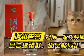 拍视频用错配乐被判罚7万，泸州老窖合理维权，还是格局小了？视频封面