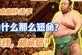 日本相扑选手为何短命？真正的用生命在挣钱视频封面