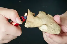 生姜用打火机烤一下，作用太厉害了，真不是迷信，越早清楚越受益视频封面