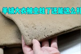 羊绒大衣被虫蛀了还能这么补，差点就扔掉了，好方法值得学习借鉴视频封面