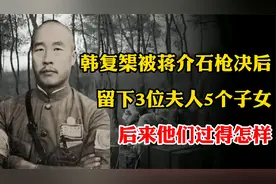 韩复榘被枪决之后，他的妻子和孩子沦落到哪里？儿子结局如何？视频封面
