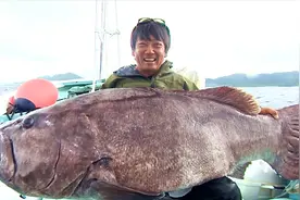 海钓：奋战半天才拽上这条巨物，几百斤重实在累得够呛！