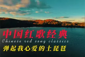 《弹起心爱的土琵琶》铁道游击队员坚强的革命意志表现得淋漓尽致视频封面