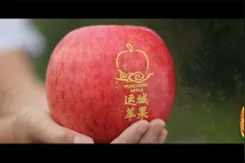 2021运成苹果宣传片《美丽百果园》视频封面