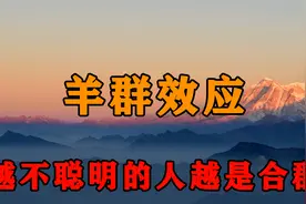 为什么聪明人都不社交？羊群效应给出的答案，能看懂的一定很厉害视频封面
