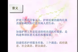 护理质量控制与持续改进PPT