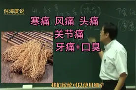 倪海厦说细辛寒痛风痛头痛关节痛牙痛+口臭