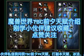 魔兽世界TBC前夕，法师天赋介绍大全，PVP天赋，A怪天赋副本天赋视频封面