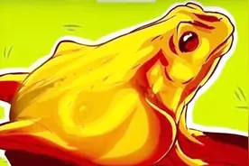 心理测试：你第一眼看到什么动物？测出你到底有多合群？视频封面