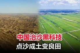 沙子也能变成土？中国新型沙漠治理粘合剂，让万亩沙漠变良田视频封面