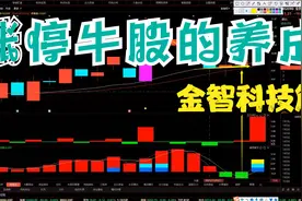 金智科技 又涨停啦！视频封面