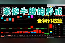 金智科技 又涨停啦！视频封面