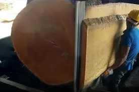 木材加工全过程！真是长见识了