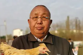 农村大叔卖宠物鸡，元宝鸡泰国白桂鸡很稀奇，拿大公鸡都不换