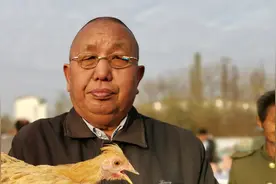 农村大叔卖宠物鸡，元宝鸡泰国白桂鸡很稀奇，拿大公鸡都不换视频封面