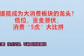 谁能成为大消费板块的龙头？低位，资金关注，消费“5虎“大比拼视频封面