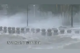 95年灾害：台风沙莉急转突袭湛江，市民都毫无防备，灾难发生了
