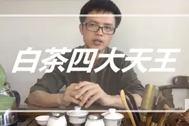 白茶四大天王，你都喝过吗？ 教你如何辨别白茶品种！视频封面