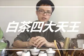 白茶四大天王，你都喝过吗？ 教你如何辨别白茶品种！视频封面