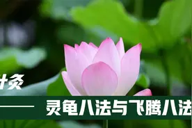 学习针灸一定要懂这个——详解灵龟八法与飞腾八法（一）视频封面