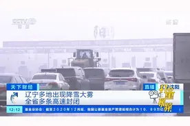 辽宁多地出现降雪大雾，全省多条高速封闭|天下财经视频封面