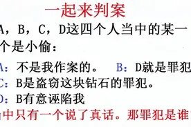 公务员事业单位逻辑推理题：谁是罪犯？四人中只有一个人说真话视频封面