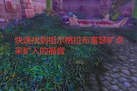 魔兽世界怀旧服快速找到祖尔格拉布富瑟矿点，采矿人的福音视频封面