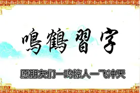 一分钟掌握常用字我的结构，写好要一起练起来视频封面