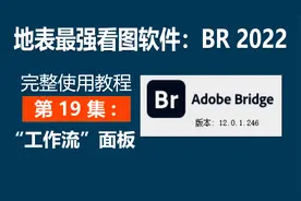 地表最强看图软件：BR2022完整教程第19集"工作流"面板