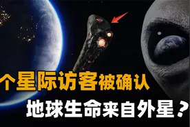 地球首位已知星际访客被确证！地球上的生命，真的会来自外星吗？视频封面