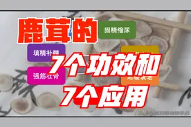 鹿茸有什么作用？怎么吃效果最好？说说鹿茸的7个功效和7个应用