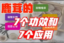 鹿茸有什么作用？怎么吃效果最好？说说鹿茸的7个功效和7个应用视频封面