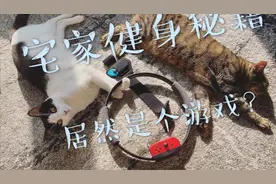 【宅家健身秘籍】Switch 健身环大冒险 | 完整体验